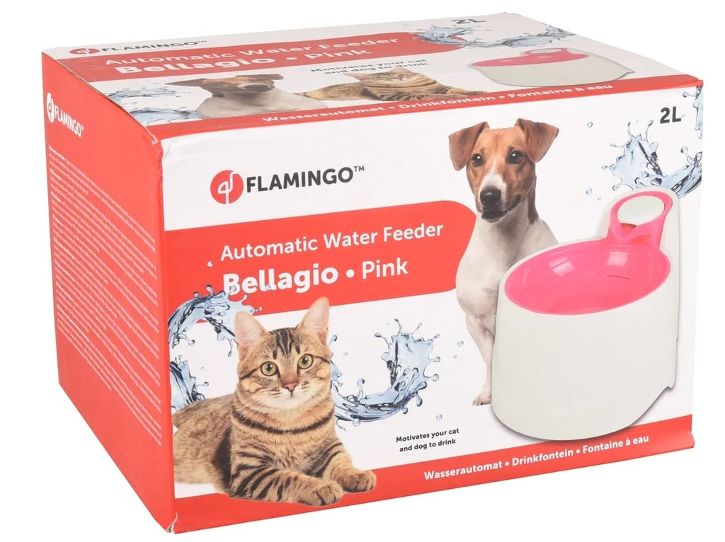 font bellagio rosa 200ml