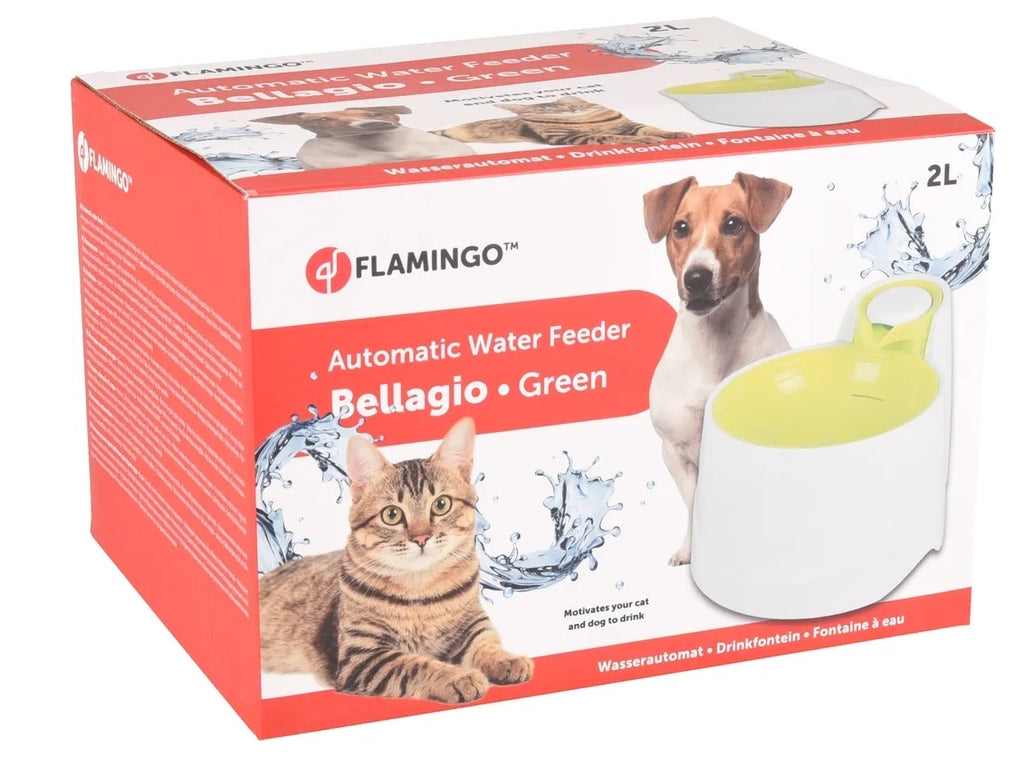 Flamingo Font Bellagio Verde 200 ml Imagen secundaria del producto