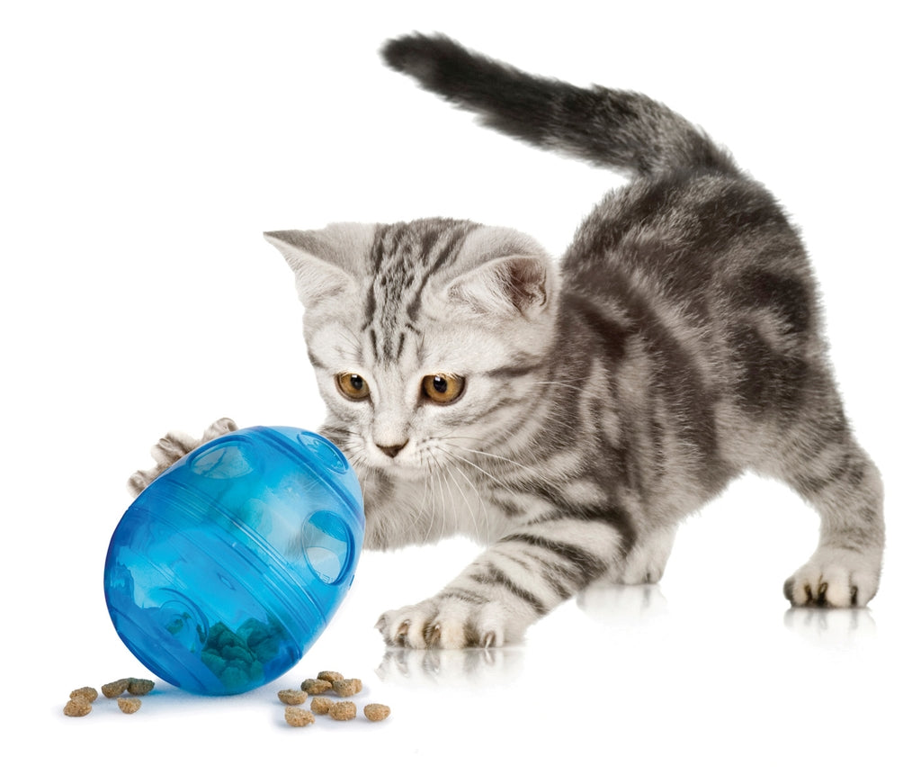 funkitty egg-cersizer