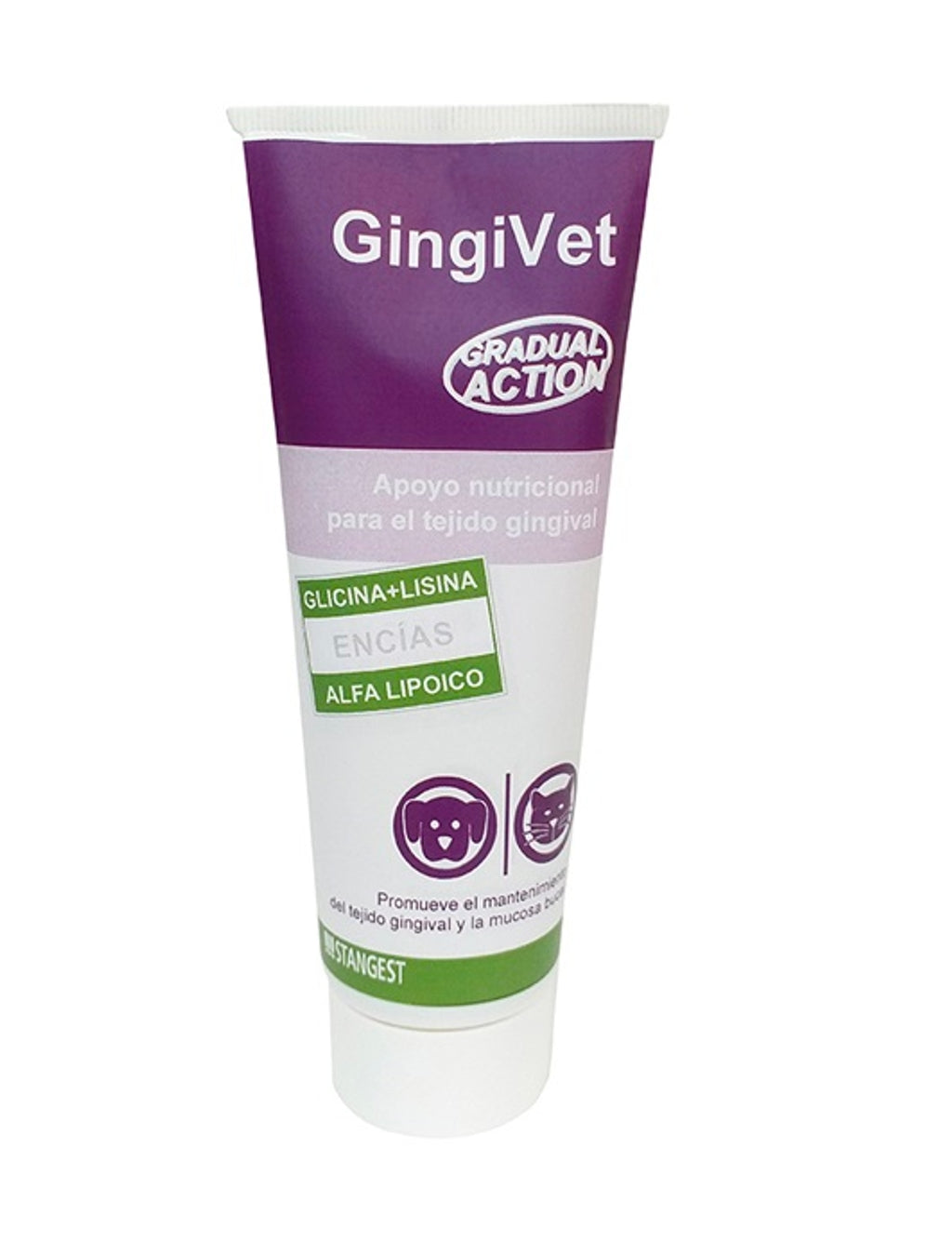 Gingivet pasta 100 g Imatge principal del producte