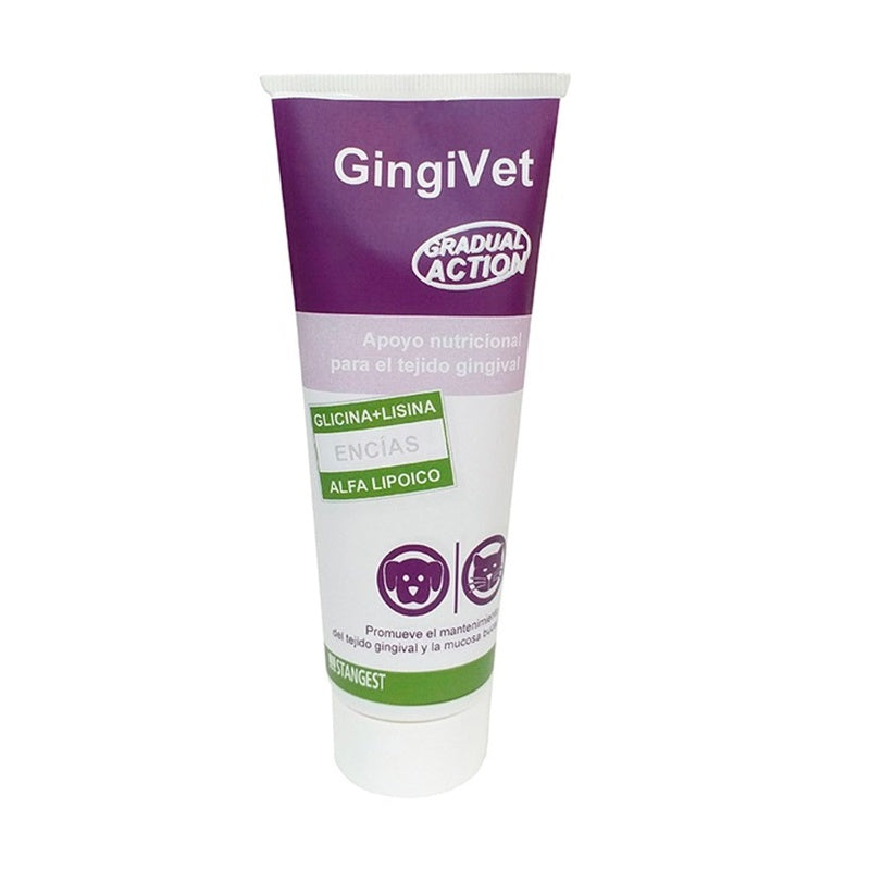 Gingivet pasta 100 g Imatge principal del producte