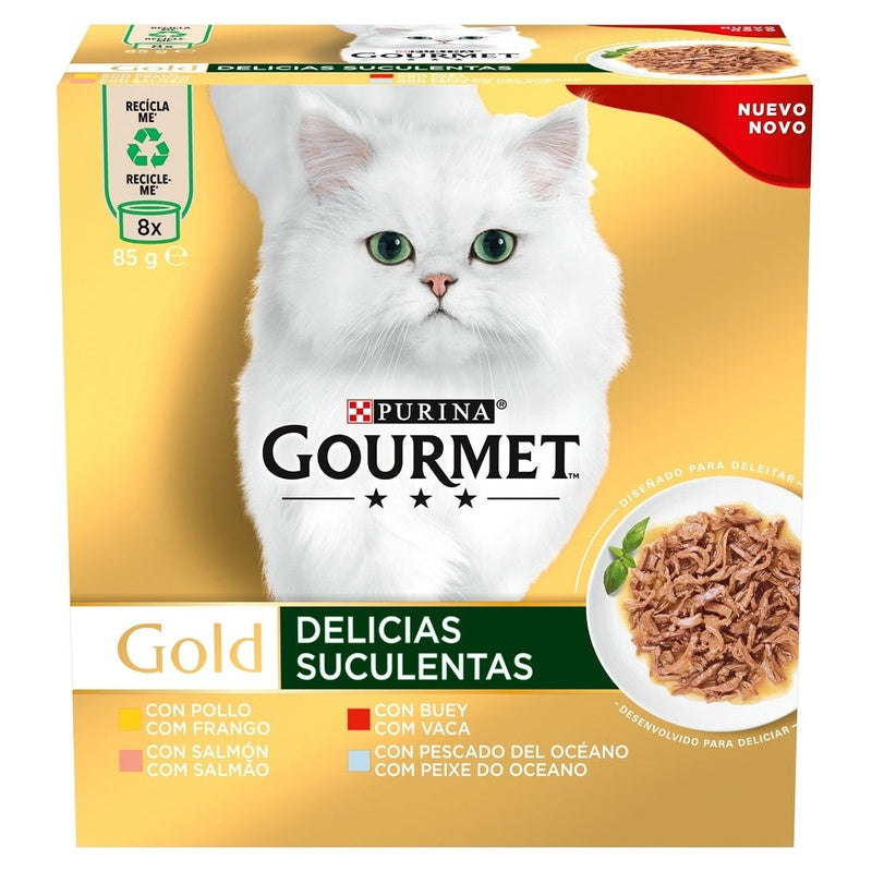gato gold delícias suculentas