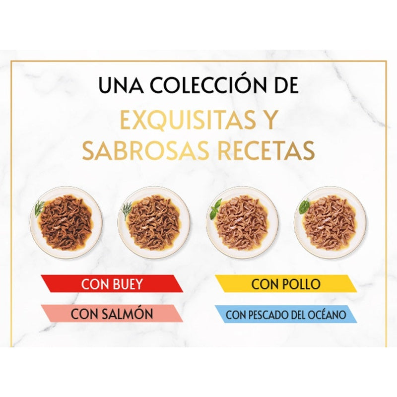 gato gold delícias suculentas