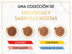 gat gold delícias suculentas
