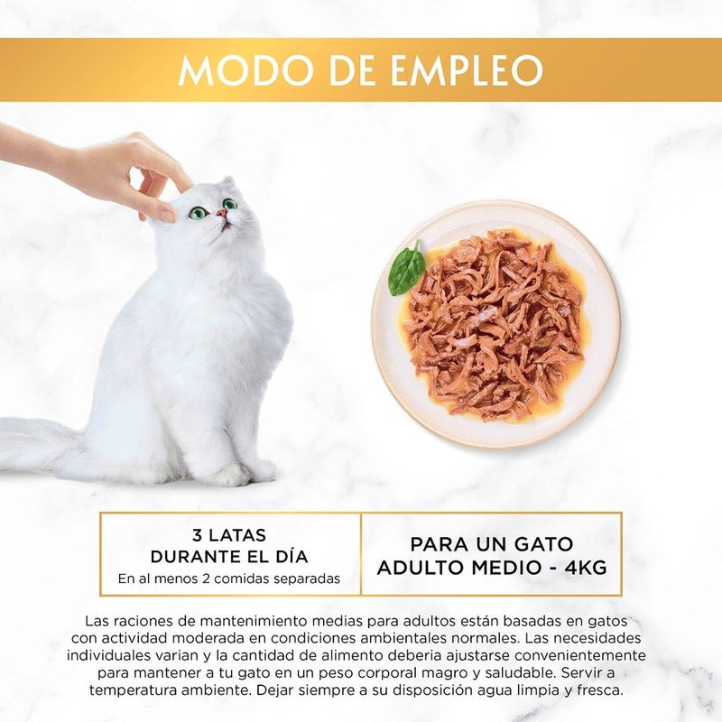 gat gold delícias el seuculentas peix del océano 8