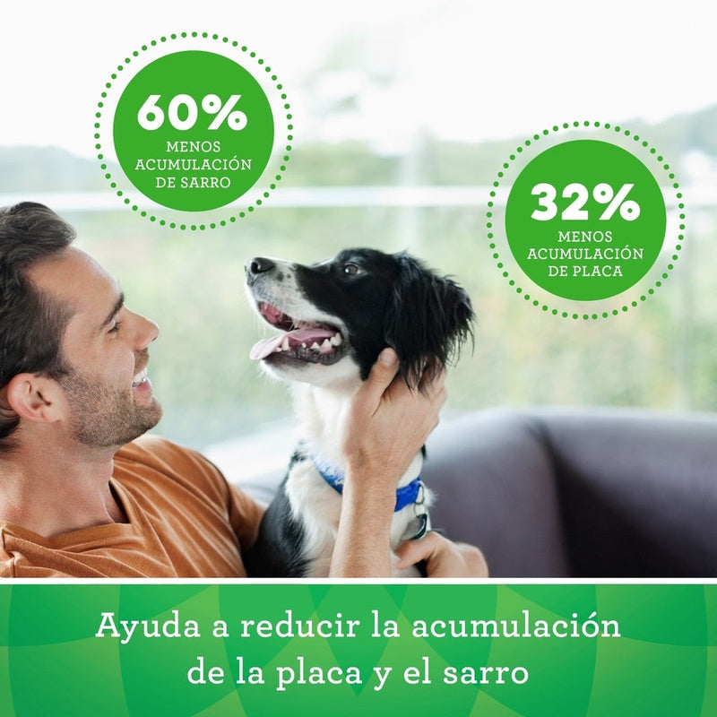 original perro teenie