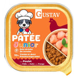 Gustav Junior Pollo