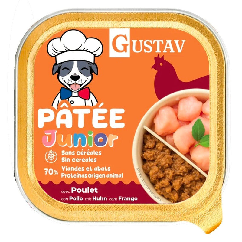 gustav junior pollo