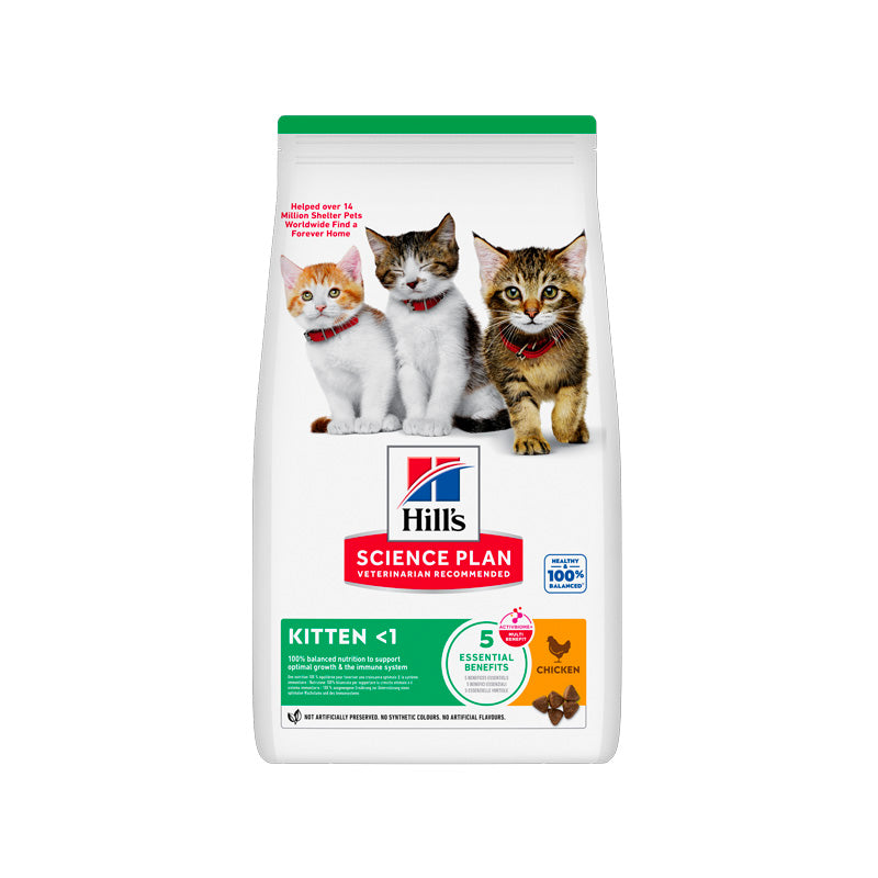 Hill's Kitten Pollo pienso para gatitos Imagen principal del producto