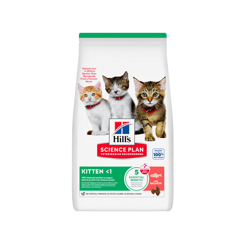 Hill's Kitten Salmón pienso para gatitos Imagen principal del producto