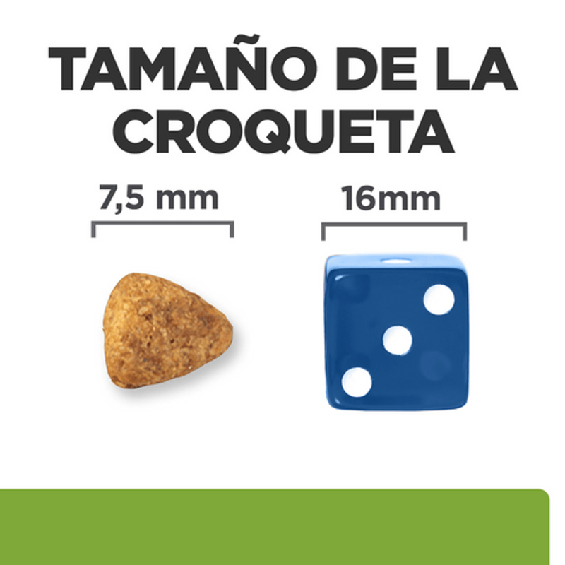 gos metabolic + mobility mini pollestre