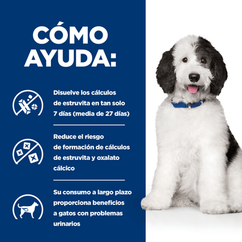 perro c/d multicare urinary care