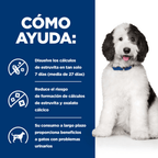 perro c/d multicare urinary care