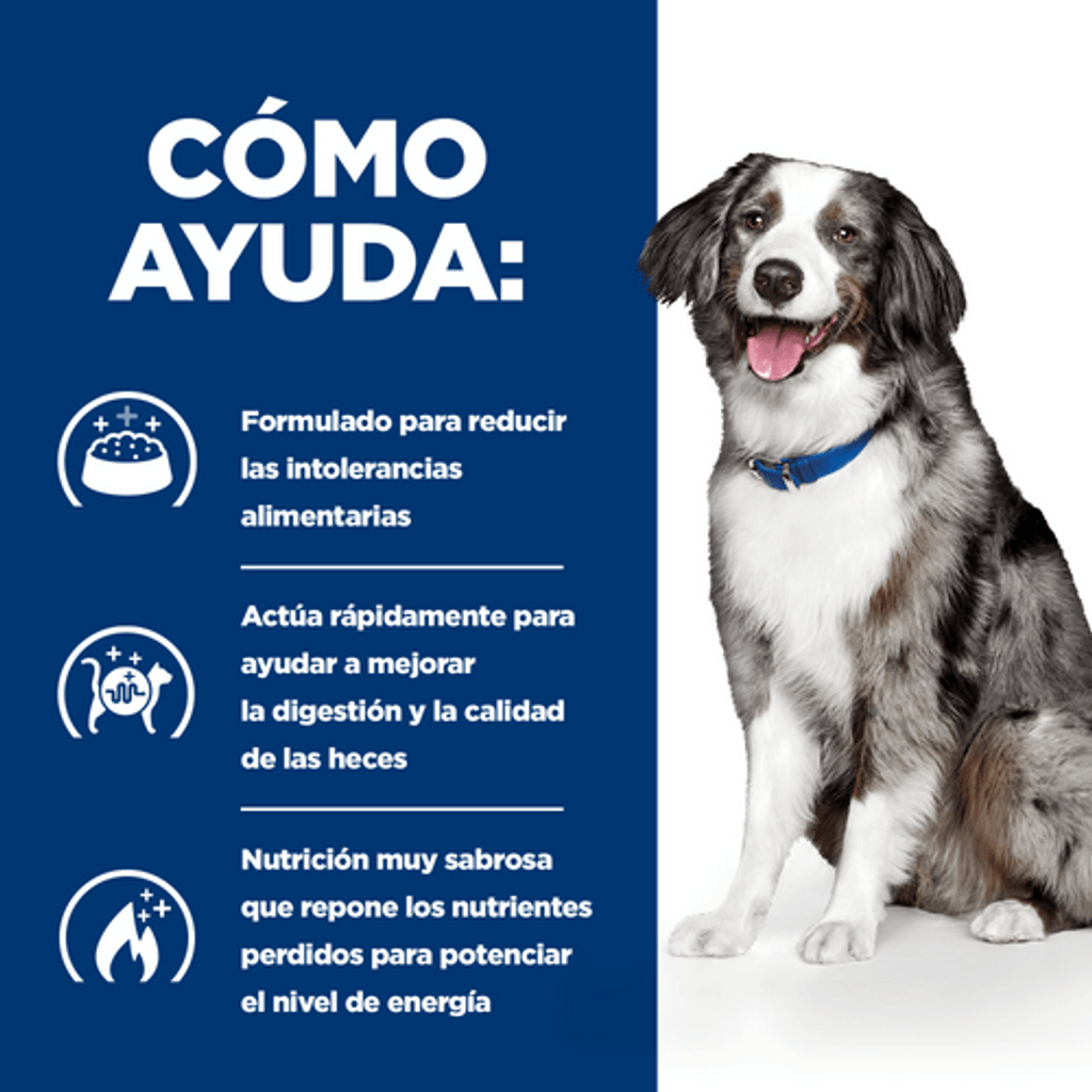 perro i/d digestive care sensitive