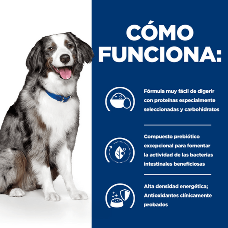 gos i/d digestive care esnsitive