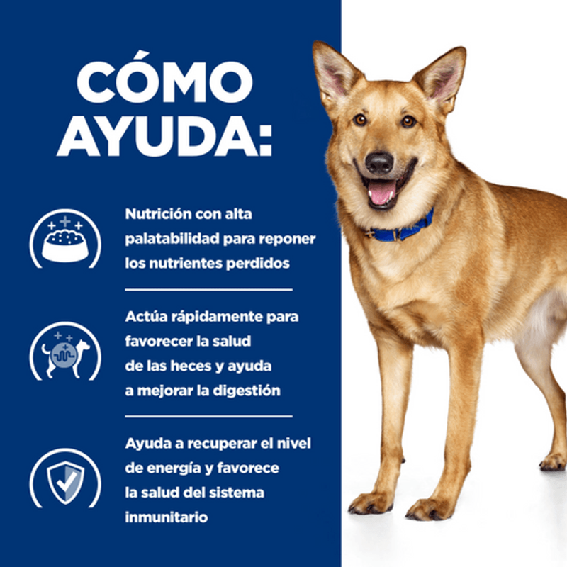 perro i/d digestive care pollo