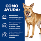 perro i/d digestive care pollo