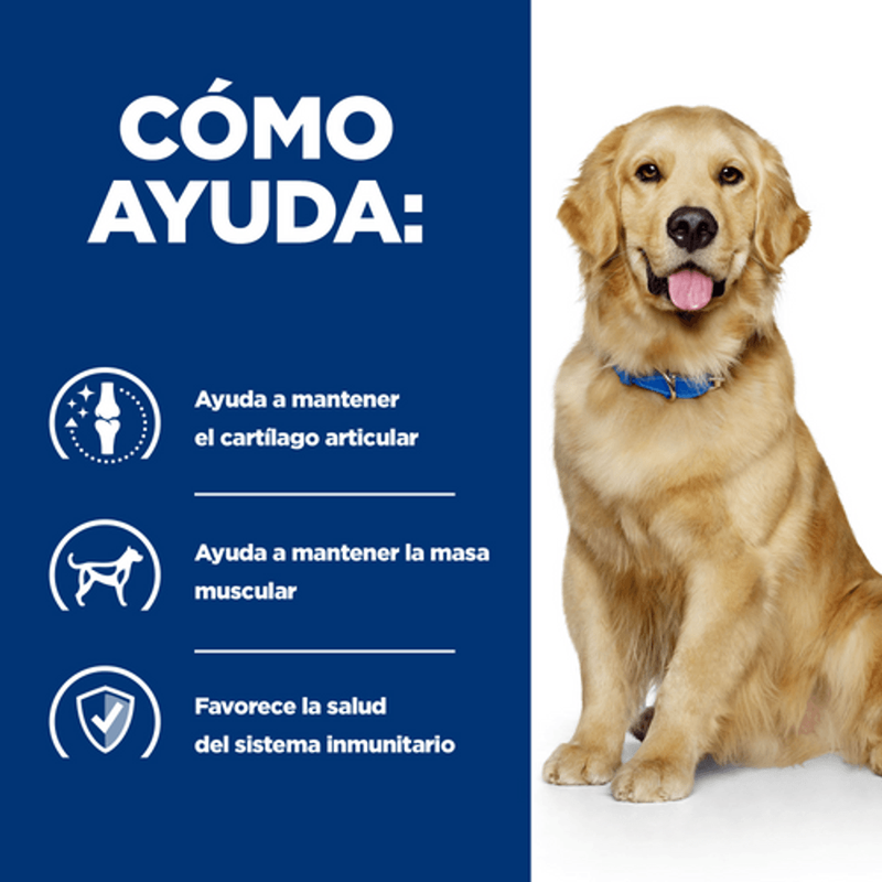 perro j/d mobility