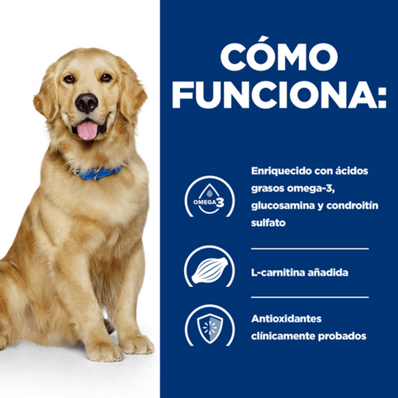 perro j/d mobility