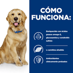 perro j/d mobility