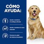 perro j/d lata 370gr
