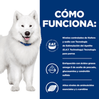 perro k/d kidney + j/d mobility care