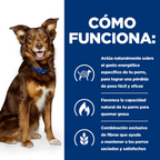 perro metabolic cordero