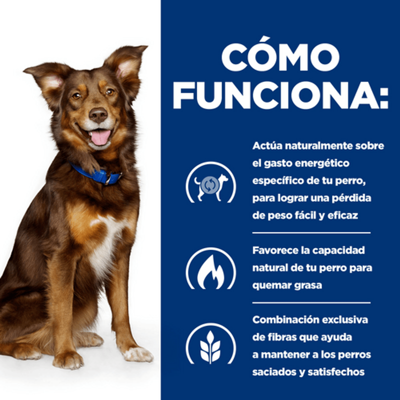 perro metabolic pollo lata