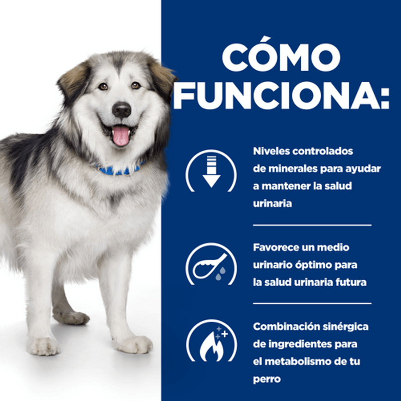 perro c/d urinary care + metabolic