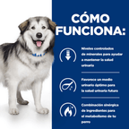 perro c/d urinary care + metabolic