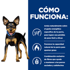 perro metabolic mini pollo