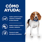 perro r/d weight loss