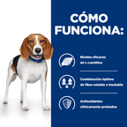 perro r/d weight loss