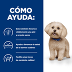 perro z/d food sensitivities mini