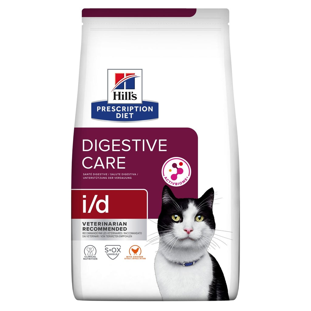 gato Imagen principal del producto
