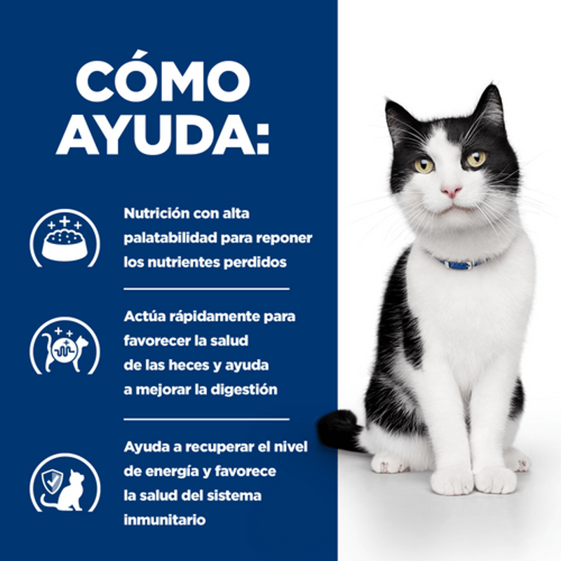 gat i/d digestive care sobre 85 g