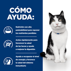 gat i/d digestive care sobre 85 g