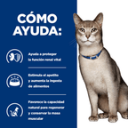 gato k/d kidney care salmón sobre 85gr