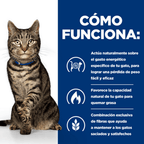 gato metabolic pollo sobre 85gr
