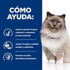 gato r/d weight reduction pollo