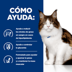 gato w/d digestive + weight management