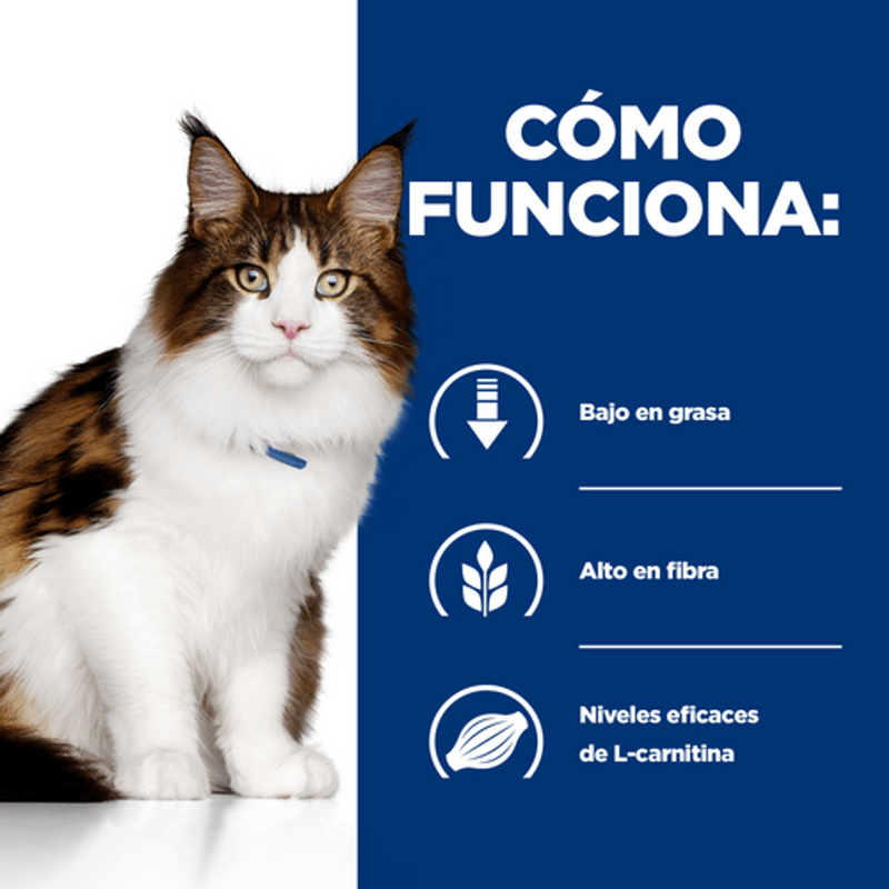 gato w/d digestive + weight management