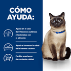 gato z/d food sensitivities lata 156g
