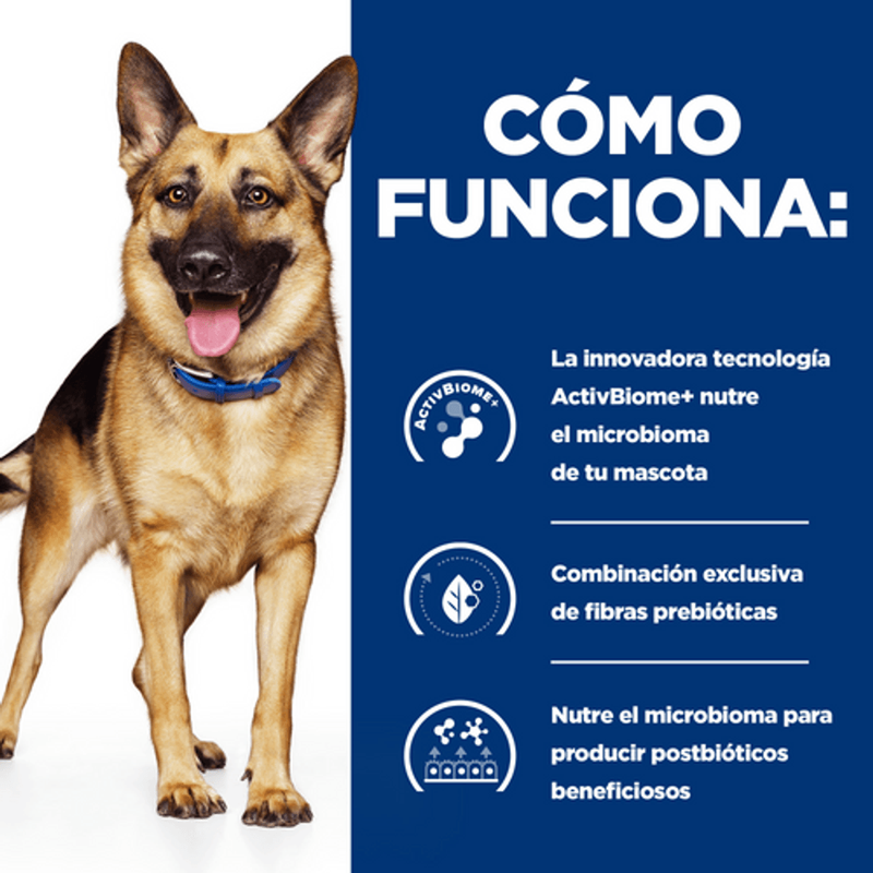 perro gastrointestinal biome