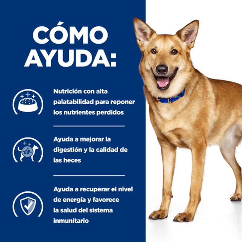 perro i/d digestive care estofado lata