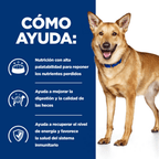 perro i/d digestive care estofado lata