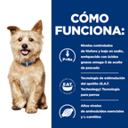 gos k/d kidney care estofado llauna