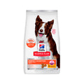 Hill's Perfect Digestion Medium pienso para perros