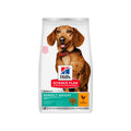 Hill's Perfect Weight Small & Mini con pollo pienso para perros