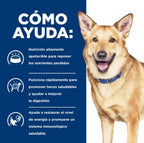 perro I/D digestive pavo lata 200gr